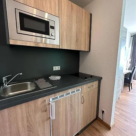 Rheinblick Apartment- Park And *